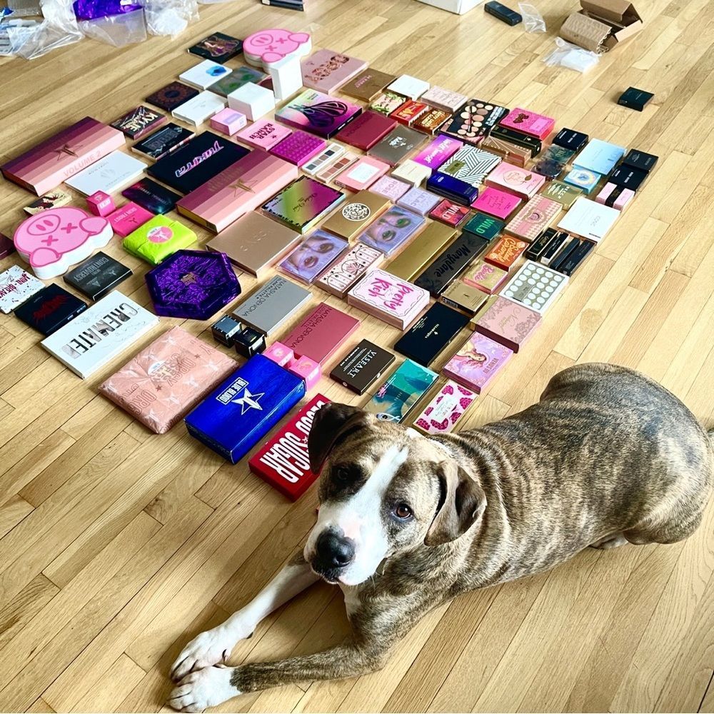 THE BIGGEST BEST HIGH END MYSTERY MAKEUP BOX 2X+ MSRP VALUE GIFTS SURPRISES BNWT - Picture 10 of 16
